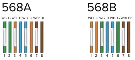 [DIAGRAM] Cat 6 Connector Wiring Diagram 568a 568b - MYDIAGRAM.ONLINE