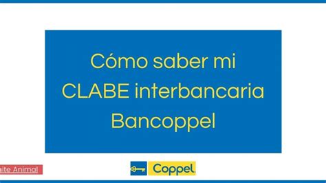 Cómo Saber mi Clabe Interbancaria Bancoppel