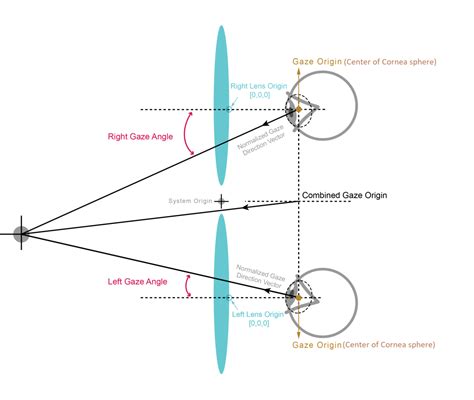 Coordinate of gaze origin and direction - VIVE Eye and Facial Tracking ...