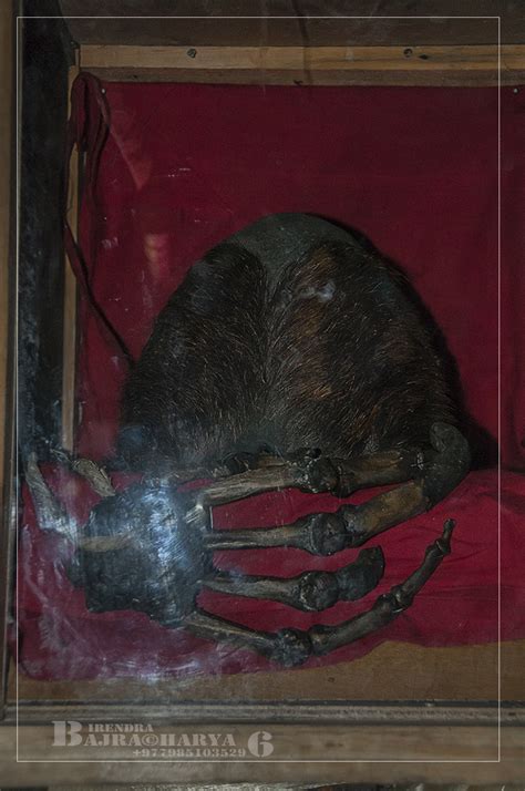 Blog/Birendra 05: .. " Relics ; The skull & a Hand of a Yeti " - November Nostalgia On Everest ...