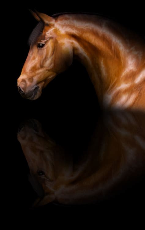 Realistic horse by Silverdraken on DeviantArt