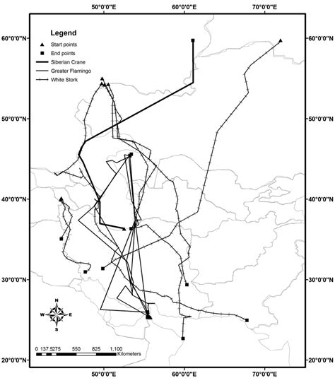 Migration routes of Greater Flamingo (Javed et al. 2006, Anonymous ...