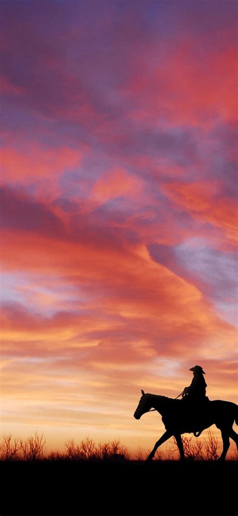 Download 1125x2436 Cowboy, Sunset, Sky, Field, Horses Wallpapers for ...