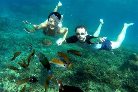 snorkeling at redang - Picture of Laguna Redang Island Resort, Pulau ...