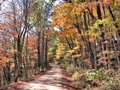 You'll Be Happy To Hear That Arkansas' Fall Foliage Is Expected To Be ...