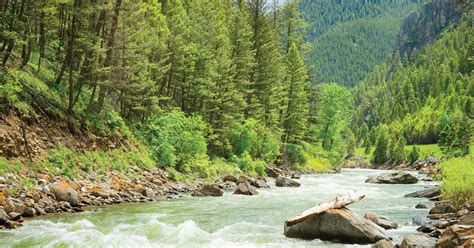 Gallatin River Fishing Report - Gallatin Gateway, Montana