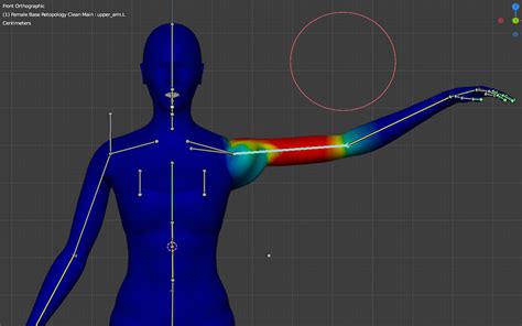 What is 3D rigging in Animation? - 4 Major Steps