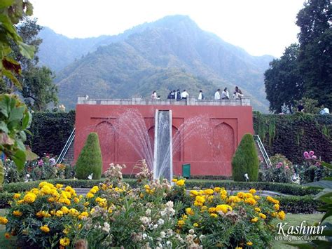 Mughal Gardens, Srinagar | Mughal, Garden, Garden waterfall