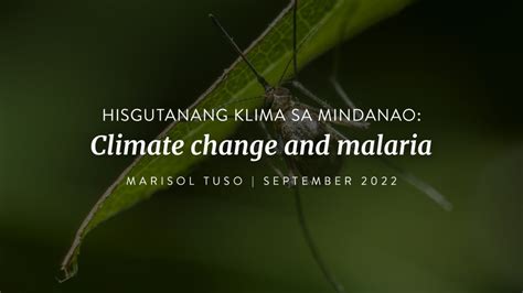 Hisgutanang Klima sa Mindanao: Climate change and malaria – The Climate ...