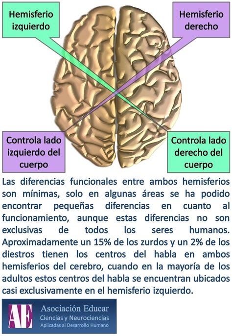 Neurociencias: hemisferios cerebrales. Medicine Notes, Increase Memory ...