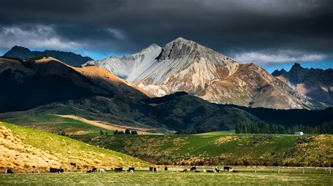 New Zealand Landscape #6879972