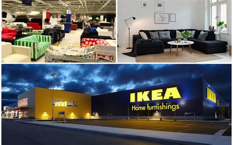 Are Dogs Allowed In Ikea Orlando