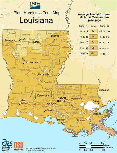 Louisiana Plant Hardiness Zone Map • Mapsof.net