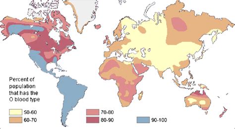 Blood Types: History, Genetics, and Percentages Around the World | Owlcation