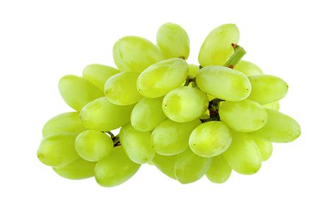 White Seedless Grapes – nubafoods
