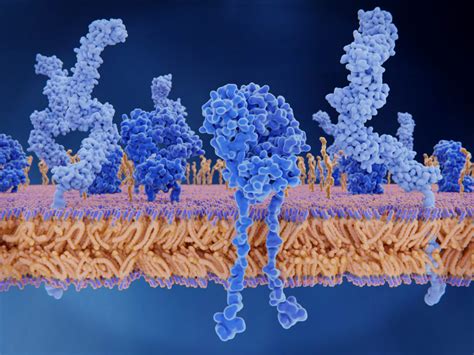 Democratizing T-Cell Receptor (TCR) Therapy Discovery