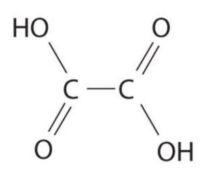 Oxalic Acid for Beekeepers | Beespoke Info