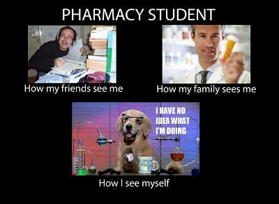 7 Memes Only Pharmacy Students Would Understand