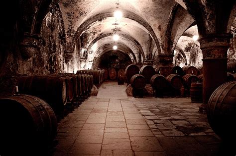 Medieval Wine Cellar by Ollo