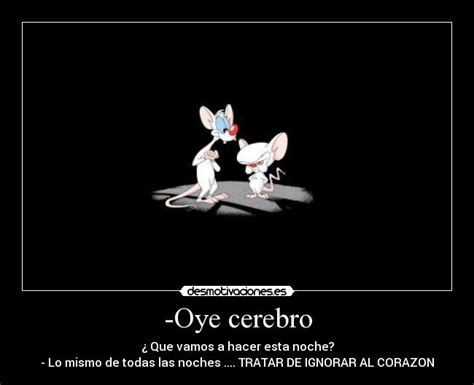 Pinky & Cerebro frases y algo más | Taringa!