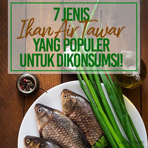 7 Jenis Ikan Air Tawar Yang Populer Untuk Dikonsumsi!