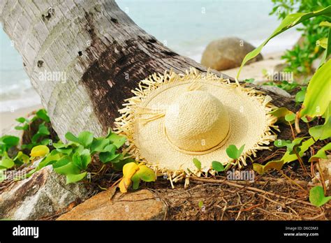 Hat on a beach Stock Photo - Alamy