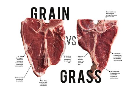 Let's talk about beef: grain vs. grass - Bidfood Australia