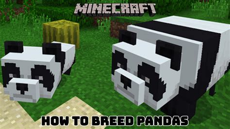 Minecraft: How To Breed Pandas