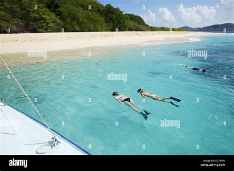 Snorkeling, Buck Island, US Virgin Islands, Caribbean Stock Photo - Alamy