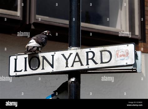 Lion Yard sign, Cambridge, England, UK Stock Photo - Alamy