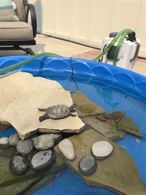How to build an indoor aquatic turtle pond 13 steps – Artofit