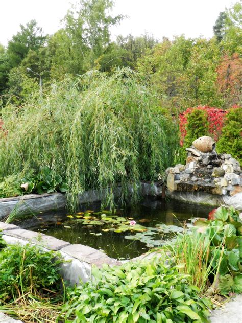 Free Images : grass, lawn, flower, stream, backyard, botany, landscaping, botanical garden, yard ...