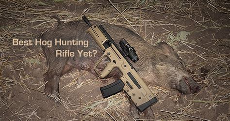 Best Hog Hunting Rifle Yet? Spend the Night with The Tavor X95 – SHWAT™