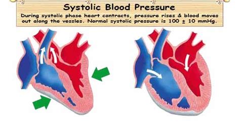 Systolic Blood Pressure SBP | Normal Systolic Blood Pressure Range