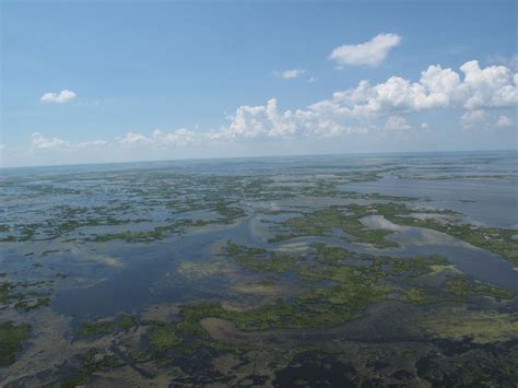 BARATARIA BAY | mardecortésbaja.com