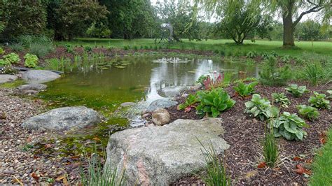 Wildlife Pond Design Pictures - Best Decorations