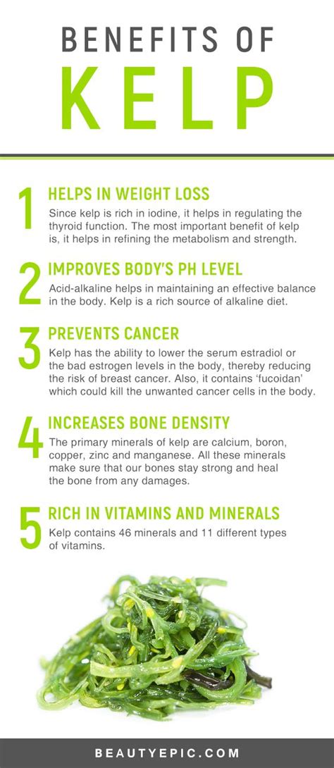 Amazing Health Benefits of Kelp | Coconut health benefits, Matcha ...