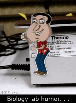 shaker plate quagmire gif | WiffleGif