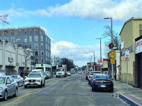 Let’s first plant and then nurture more trees along Dorchester Ave | Dorchester Reporter