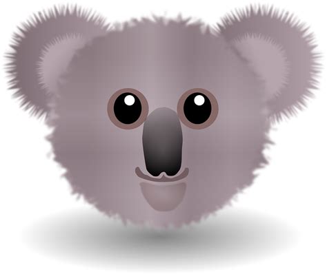 Koala Bear Wombat - Free vector graphic on Pixabay