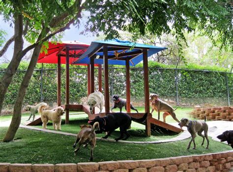 Canyon View Ranch for Dogs | Dog playground, Dog park design, Dog ...