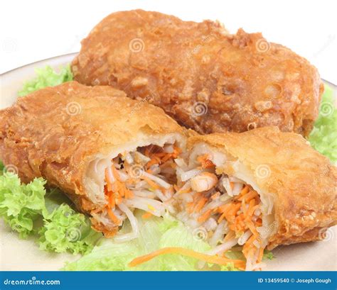 Chinese Spring Rolls Stock Photo - Image: 13459540