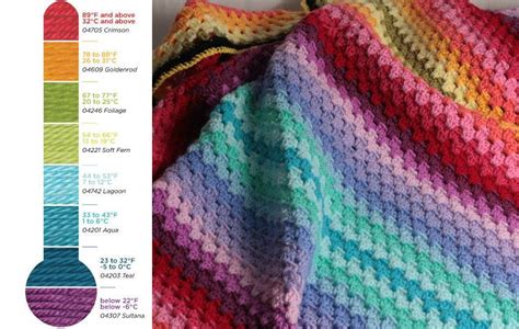 Blooming Lovely: Crochet - Temperature Blanket