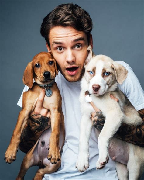 Liam Payne And His Beloved Dog: A Heartwarming Connection