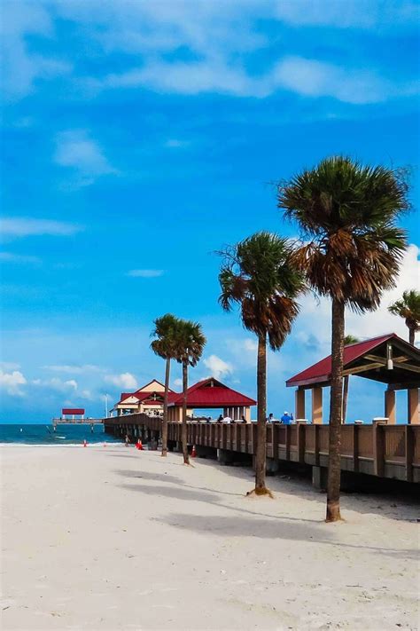 Sand Key Beach: Insider Secrets for a Florida Vacation - Coastal Wandering