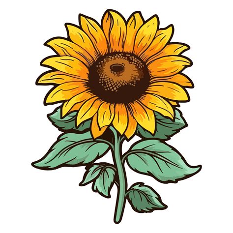 Sunflower modern pop art style, Sunflower illustration, simple creative design, . 24553655 PNG