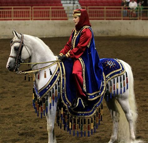 arabian horse costume - Google Search Arabian Horse Costume, Horse Costumes, Arabian Costumes ...