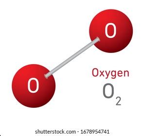 Oxygen Molecule