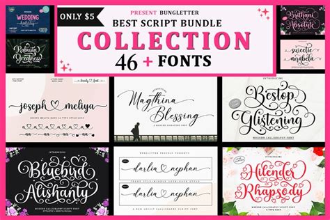 Best Script Bundle Collection (2060628)