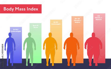 BMI Classification Chart Measurement Man Male Body Mass, 41% OFF